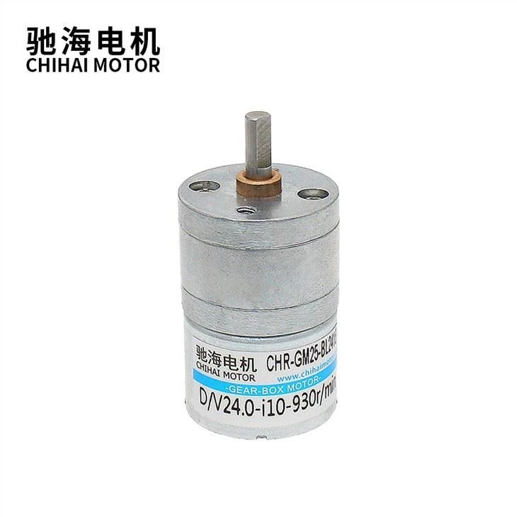 25mm Lifetime Brushless DC24v 120rpm Brushless Motor